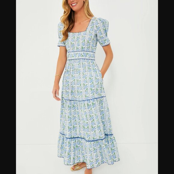 Pink City Prints Dresses & Skirts - Pink City Prints Cotswolds Border Evelyn Dress, Size XL